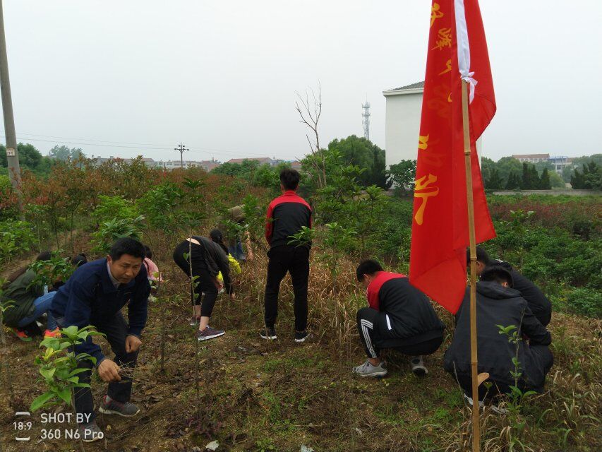 香港全年最全免费资料