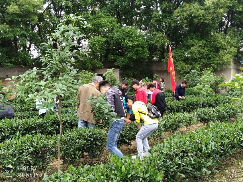 香港全年最全免费资料