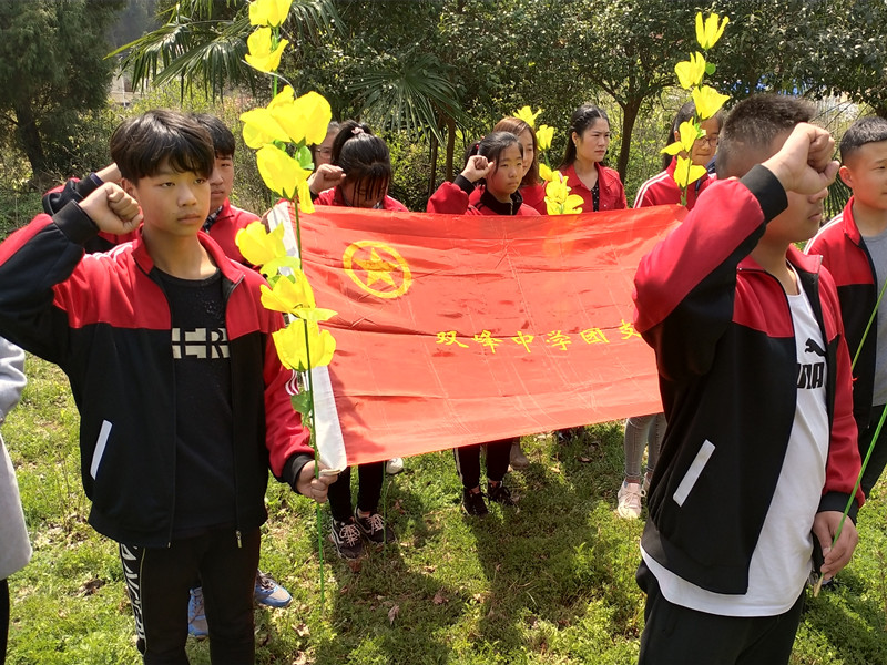 香港全年最全免费资料